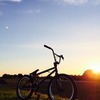 Top spec bmx custom swap for a dh / freeride bike