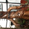 tree sculptur