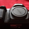 Canon EOS 5D (body only)