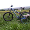 CUSTOM JUMP BIKE