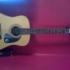 ephiphone guitars x 2