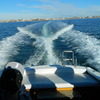 EXELLENT SKI/PLEASURE OFF SHORE BOAT- VERY FAST IF YOU NEED TO TRAVEL