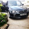 mg zr