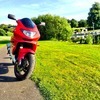 Yamaha Thundercat 1997