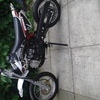 2014 model pitbike