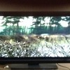 32 inch toshiba