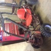 70 cc buggy