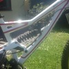 specialized status 2