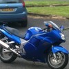 honda blackbird