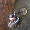 150cc pit bike brand new