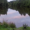 3 ROD CARP SET UP!