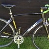 Giant defy