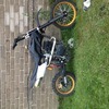 Lifan 2013 150cc and an onza bird