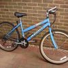 Ladies Apollo Envy Mountain Bike
