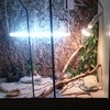 4 FT VIVARIUM AND STAND