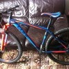 cube analog 29er 2014