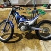 scorpa sy250
