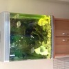 Aqua one 620t fish tank with stand