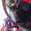 Vw Volkswagon Golf