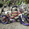 Custom Kink Bmx Mutant Fly Demolition Alienation Vocal  snafu fit  Eastern sealed bearings