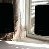 Bose 301 Series IV speakers - legendary!