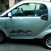 Smart car passion. LOW MILES!!