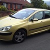 Peugeot 307 hdi glx 2.0