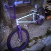 Eastern Jane bmx Customised