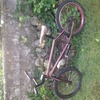 BMX