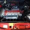 Cavalier Sri redtop