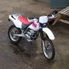 XR 250 (1999)