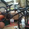 Haro bmx large stunt bike