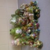 Frog collection