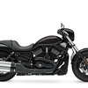 Harley Davidson night rod