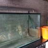 4 foot aquarium with lighting unit