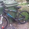 MANS BOSS REACTOR 26INC 3 MONTHS OLD