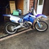 My mint YZ250 2001