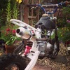 125cc Xsport/ssr pitbike