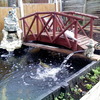 large pond full set up