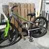 Saracen mountain/jump bike