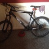 Gt Avalanche Expert