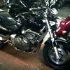 Honda Hornet CB600F