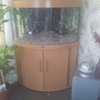 Juwel fish tank