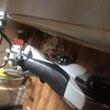 110 xsport pitbike