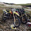 Suzuki rmzf 250