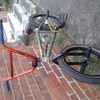 BSD too lose custom bmx prmo, g-sport, Dj dh