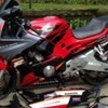 HONDA CBR 600 F RACE