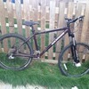 Rocky ridge 8.1 mtb