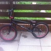 2012 wethepeople trust