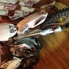 Honda crf450r road legal will swap